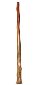 Tristan O'Meara Didgeridoo (TM262)